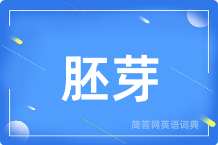 胚芽用英语怎么说,胚芽的英语翻译 胚芽