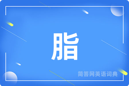 脂用英语怎么说,脂的英语翻译 脂