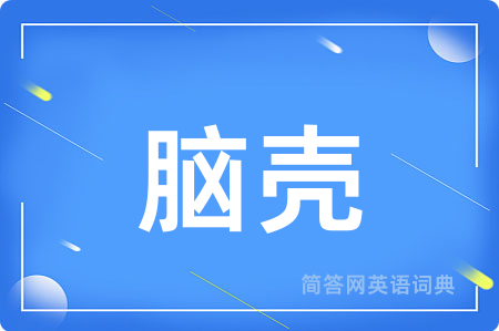 脑壳