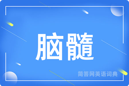 脑髓