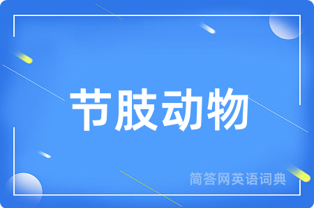 节肢动物用英语怎么说,节肢动物的英语翻译 节肢动物