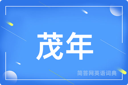 茂年
