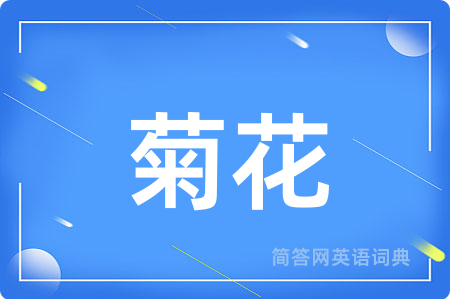 菊花