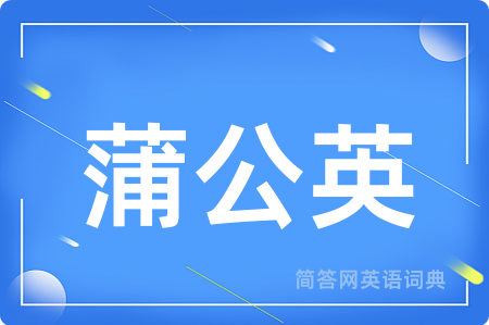 蒲公英