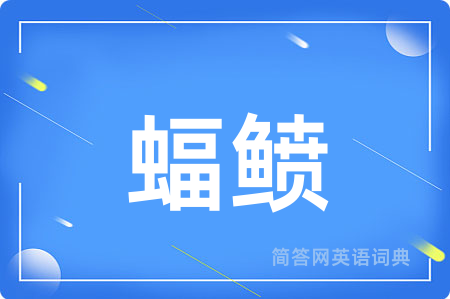 蝠鲼用英语怎么说,蝠鲼的英语翻译 蝠鲼