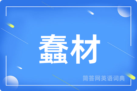 蠢材用英语怎么说,蠢材的英语翻译 蠢材