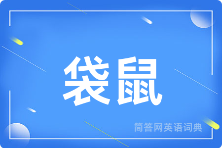 袋鼠用英语怎么说,袋鼠的英语翻译 袋鼠
