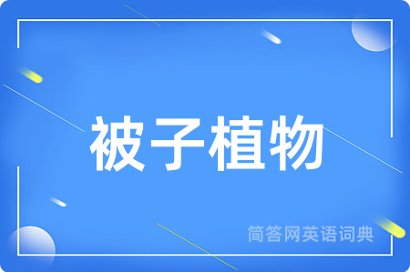 被子植物