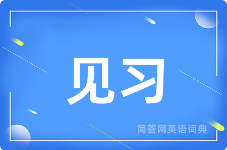 见习