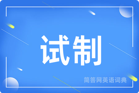 试制