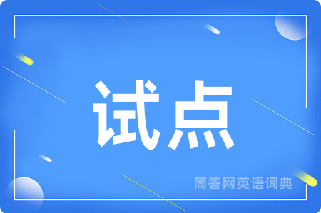 试点用英语怎么说,试点的英语翻译 试点