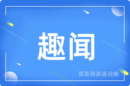 趣闻