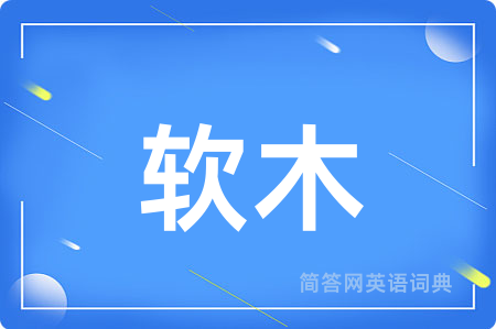 软木用英语怎么说,软木的英语翻译 软木