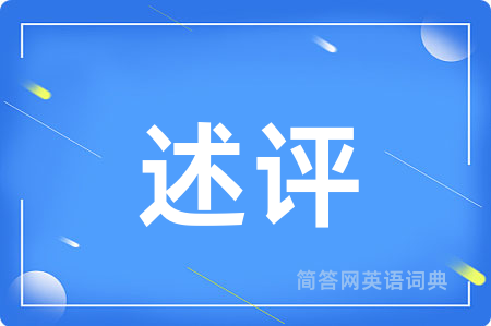 述评