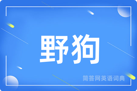 野狗