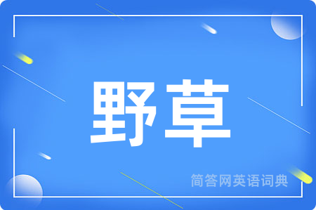 野草用英语怎么说,野草的英语翻译 野草