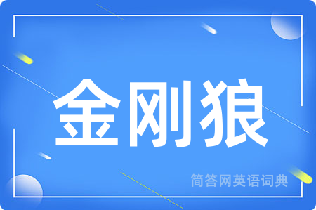金刚狼用英语怎么说,金刚狼的英语翻译 金刚狼