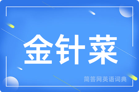 金针菜