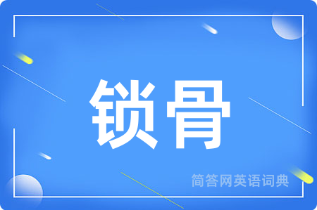 锁骨用英语怎么说,锁骨的英语翻译 锁骨