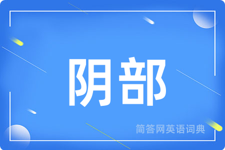 阴部