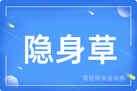 隐身草