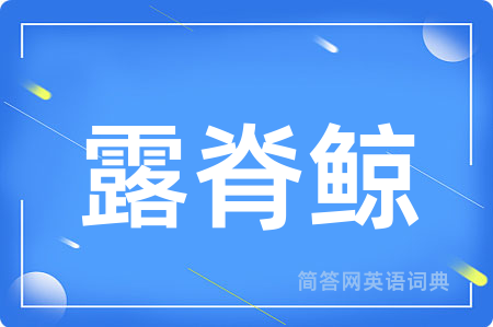 露脊鲸