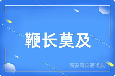 鞭长莫及