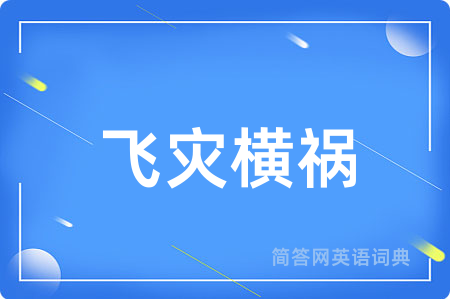 飞灾横祸