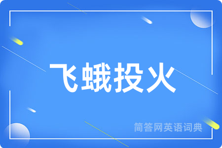 飞蛾投火