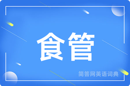 食管用英语怎么说,食管的英语翻译 食管