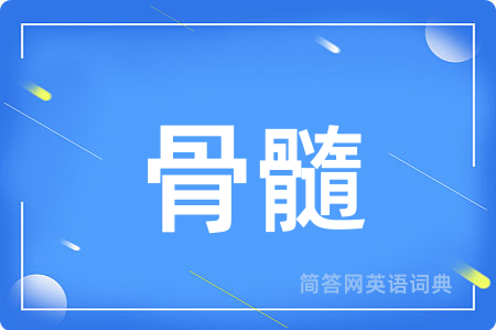 骨髓用英语怎么说,骨髓的英语翻译 骨髓