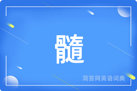 髓用英语怎么说,髓的英语翻译 髓
