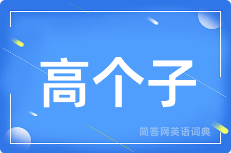 高个子