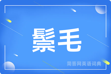鬃毛