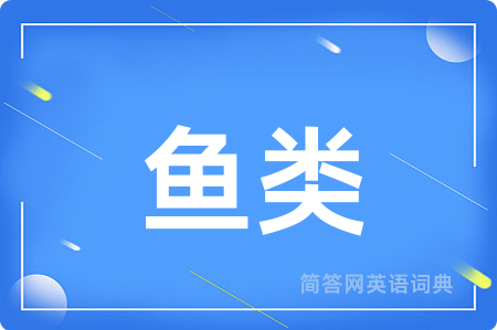 鱼类用英语怎么说,鱼类的英语翻译 鱼类