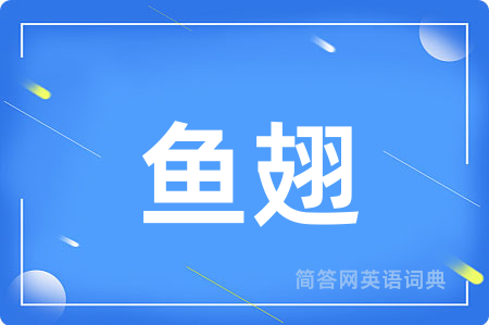鱼翅