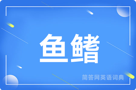 鱼鳍用英语怎么说,鱼鳍的英语翻译 鱼鳍