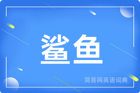 鲨鱼用英语怎么说,鲨鱼的英语翻译 鲨鱼