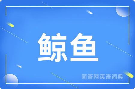 鲸鱼