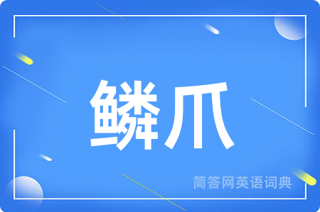 鳞爪