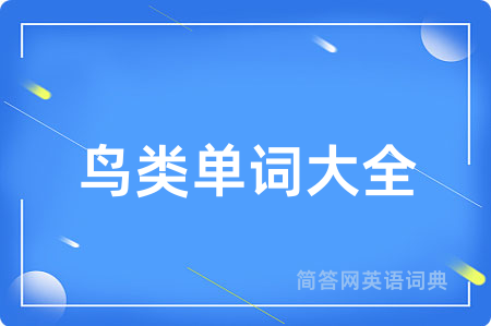 鸟类单词大全用英语怎么说,鸟类单词大全的英语翻译 鸟类单词大全