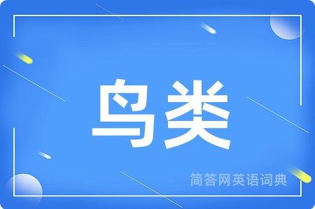 鸟类用英语怎么说,鸟类的英语翻译 鸟类