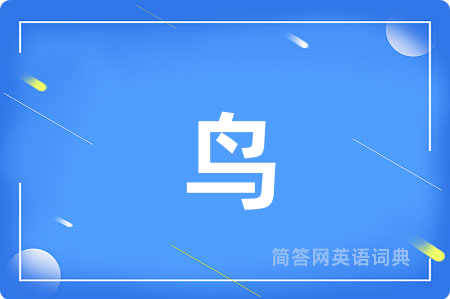 鸟