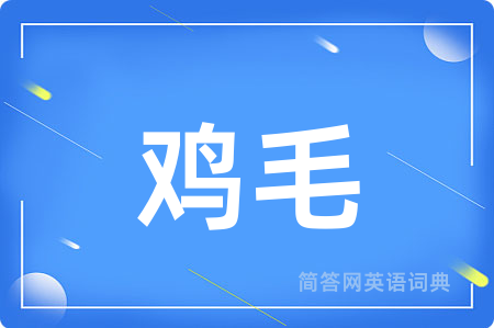 鸡毛用英语怎么说,鸡毛的英语翻译 鸡毛