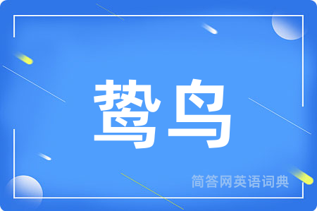 鸷鸟