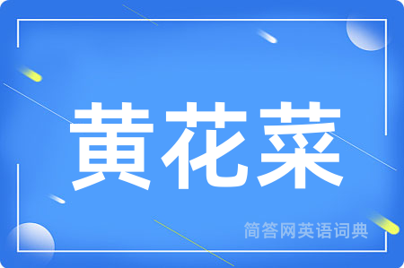 黄花菜用英语怎么说,黄花菜的英语翻译 黄花菜