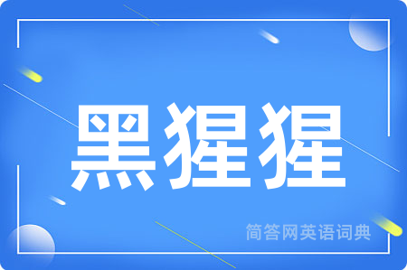 黑猩猩用英语怎么说,黑猩猩的英语翻译 黑猩猩