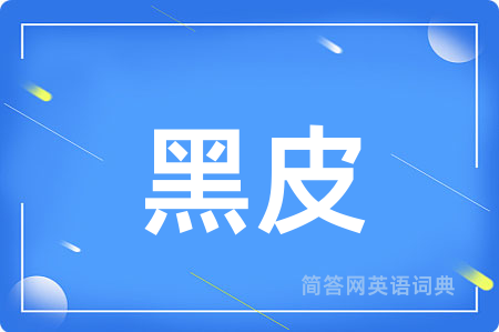 黑皮用英语怎么说,黑皮的英语翻译 黑皮