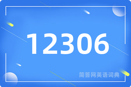 12306