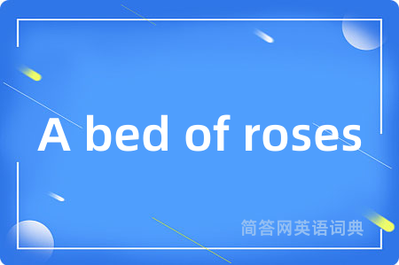 A bed of roses